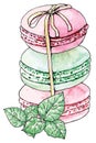 Three french macaroons tied with a ribbon and leaf of mint. Watercolor vector illustration